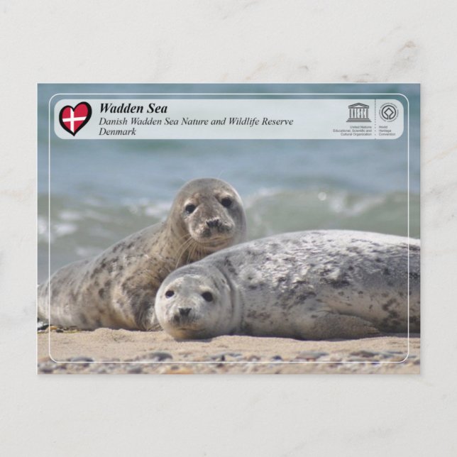 UNESCO WHS - Danish Wadden Sea Postcard (Front)