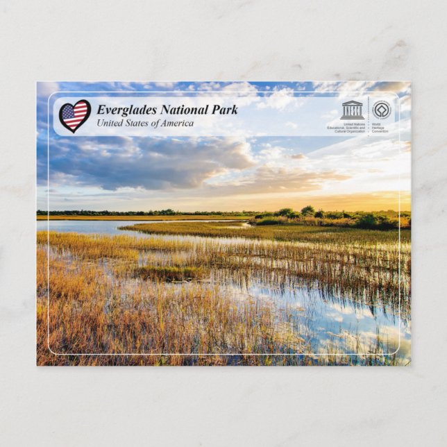 UNESCO WHS - Everglades National Park Postcard (Front)
