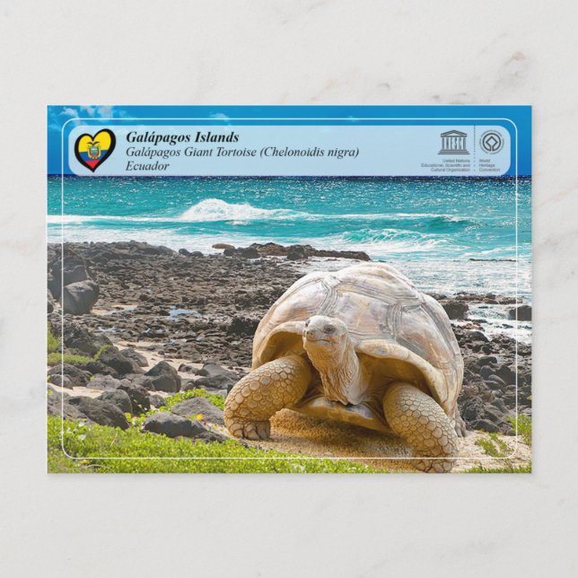 UNESCO WHS - Galápagos Islands - Giant Tortoise Postcard (Front)