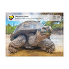 UNESCO WHS - Galápagos Islands - Giant Tortoise