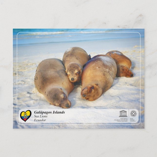 UNESCO WHS - Galápagos Islands - Sea Lions Postcard (Front)