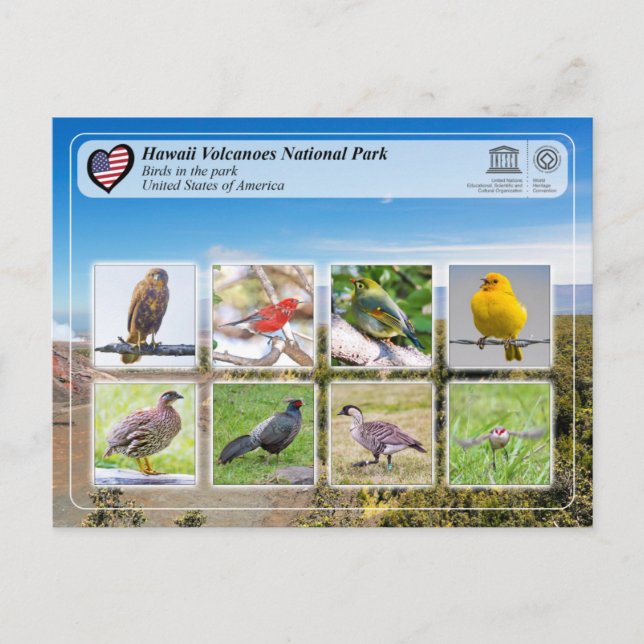 UNESCO  WHS - Hawaii Volcanoes NP - Birds Postcard (Front)