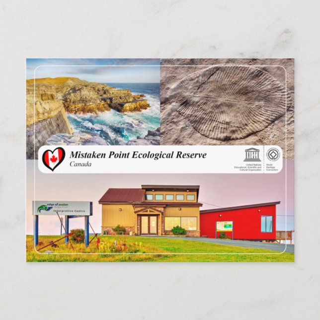 UNESCO WHS - Mistaken Point Postcard (Front)