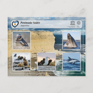 UNESCO WHS - Península Valdés Postcard