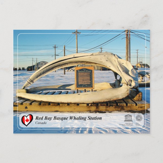 UNESCO WHS - Red Bay Basque Whaling Station Postcard (Front)