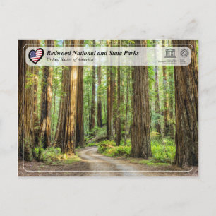 UNESCO WHS - Redwood National and State Parks Postcard