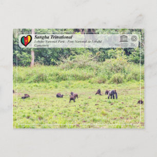 UNESCO WHS - Sangha Trinational - Lobéké Postcard