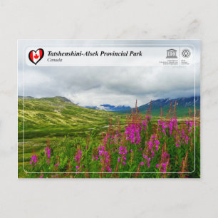 UNESCO WHS - Tatshenshini-Alsek Provincial Park Postcard