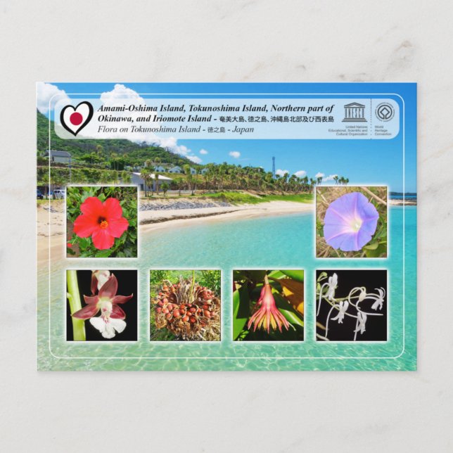 UNESCO WHS - Tokunoshima Island - 徳之島 - Flora Postcard (Front)