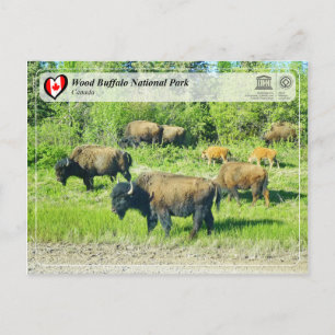 UNESCO WHS - Wood Buffalo National Park Postcard