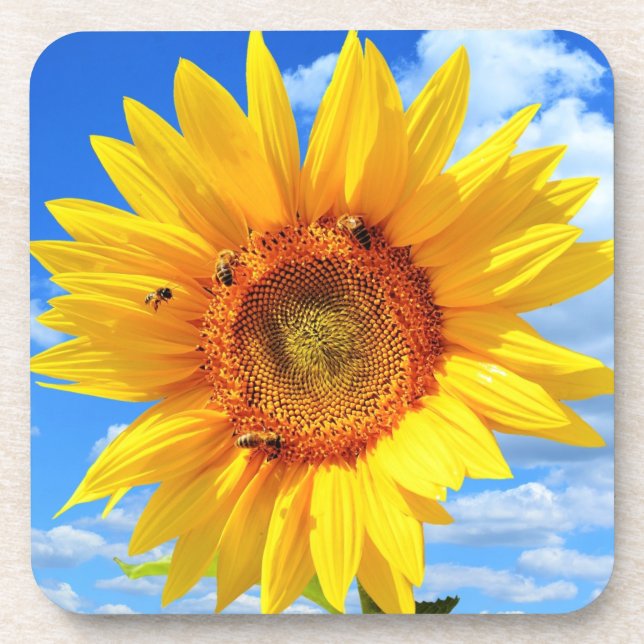 unflower and Bees Coaster (Front)