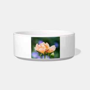 unfolding desire bowl