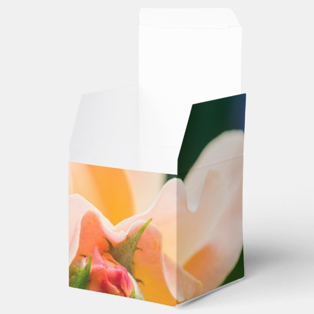 unfolding desire favour box (Opened)