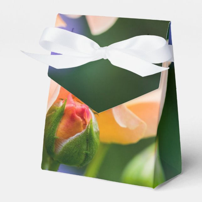unfolding desire favour box (Front Side)