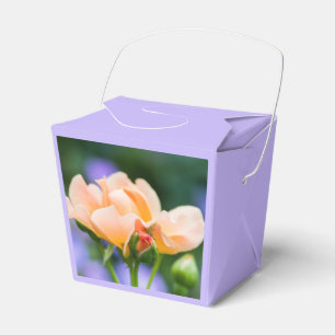 unfolding desire favour box