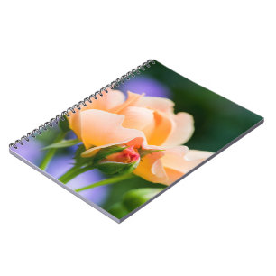 unfolding desire notebook