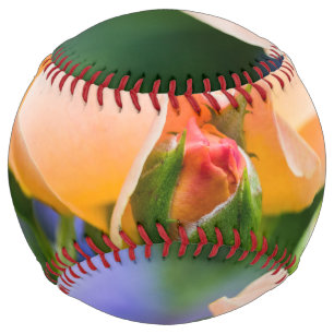 unfolding desire softball