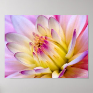 Unfolding Flower Poster