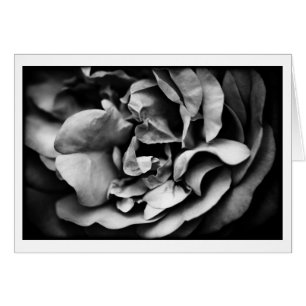 unfolding inner life