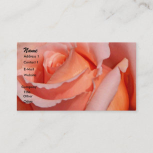 Unfolding Rose_Profile Card
