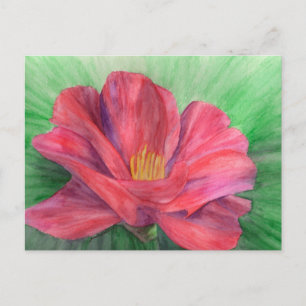 Unfoldment Postcard