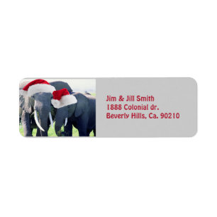 Unforgettable Elephant Christmas
