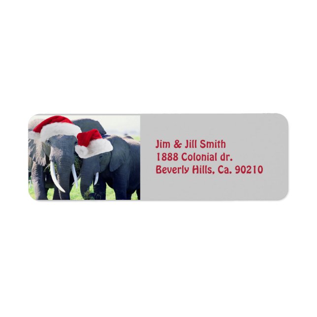 Unforgettable Elephant Christmas (Front)