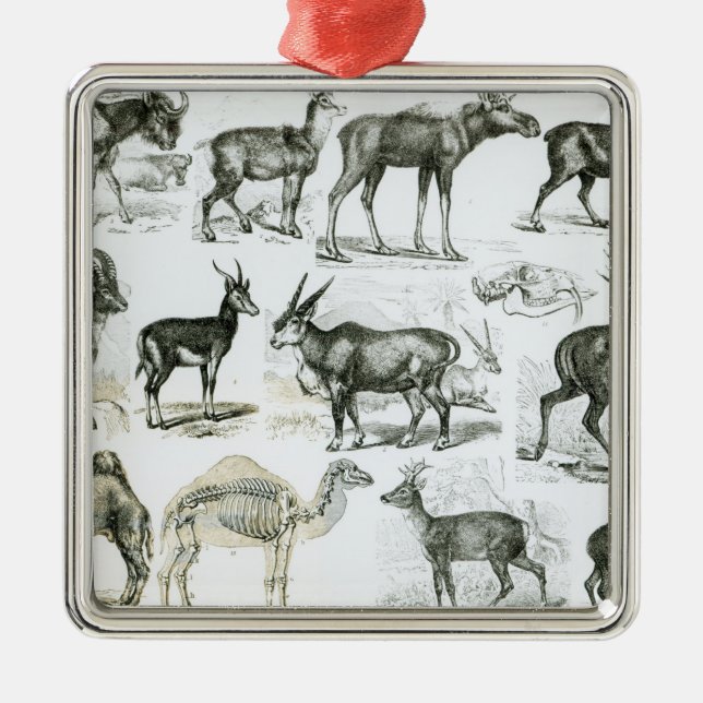 Ungalata or Hoofed Animals Metal Tree Decoration (Front)