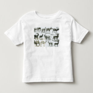 Ungalata or Hoofed Animals Toddler T-Shirt