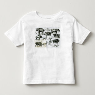 Ungulata or Hoofed Animals Toddler T-Shirt