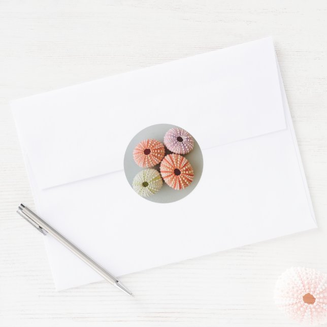 Uni Sea Urchin Small Round Sticker (Envelope)