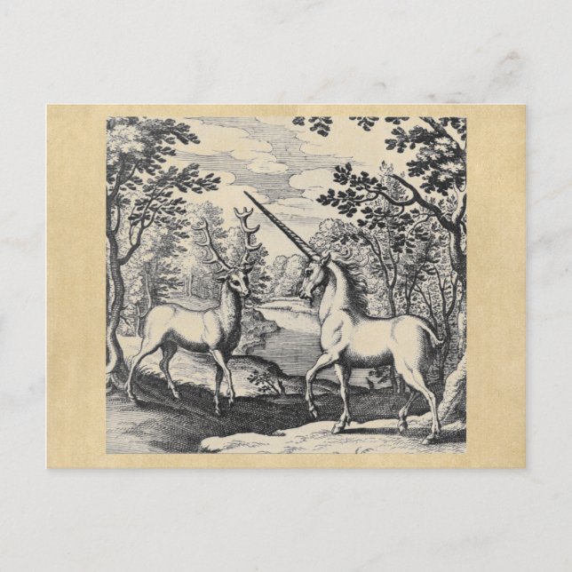 Unicorn and Stag Postcard (Front)