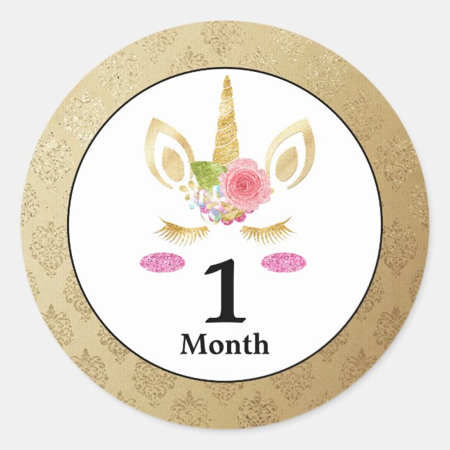 Unicorn Baby Month Stickers (Front)