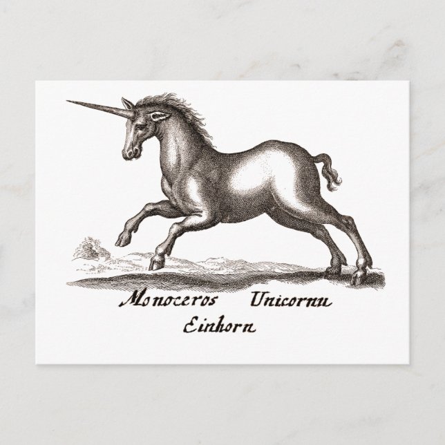 Unicorn Classic Running Magic Woodland Creature Postcard (Front)