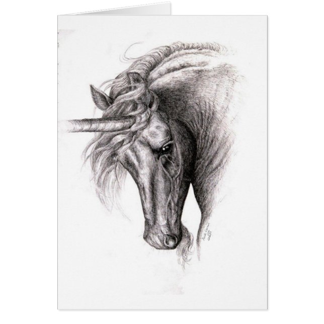 Unicorn Colt (Front)