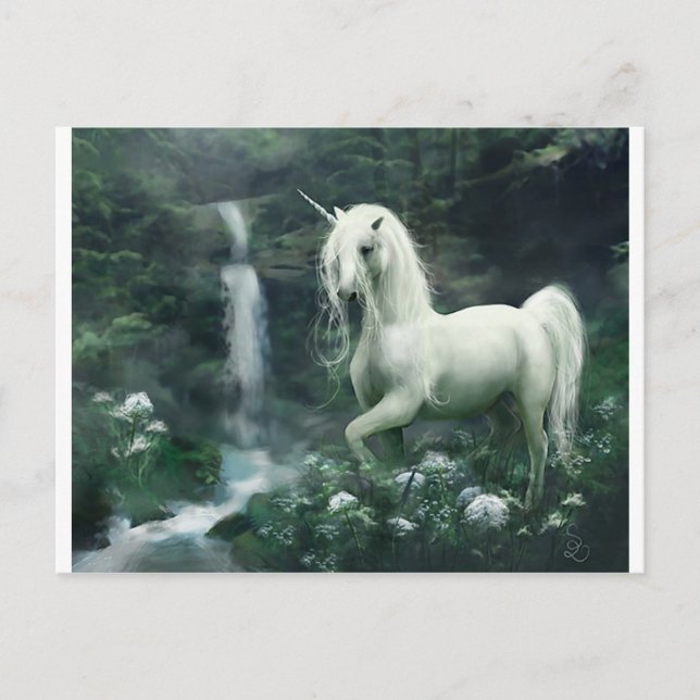 unicorn-fantasy postcard (Front)