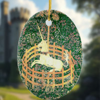 Unicorn In Captivity