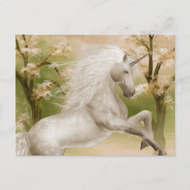 Unicorn Magical Beauty Postcard (Front)
