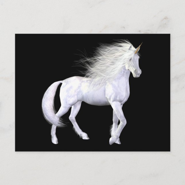 Unicorn White Beauty Postcard (Front)