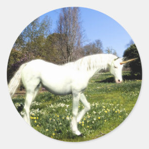 Unicorns Classic Round Sticker