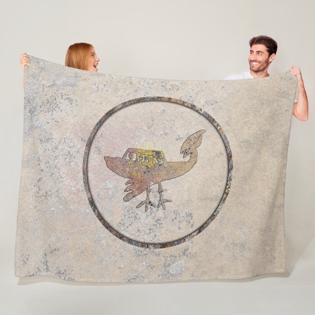 Unidentified Flying Object Fleece Blanket (In Situ)