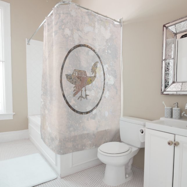Unidentified Flying Object Shower Curtain (In Situ)