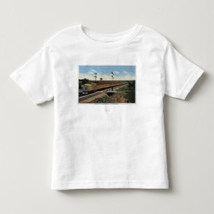 Union Pacific Streamliner "City of Denver" Toddler T-Shirt