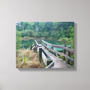 Union Spring - Porcupine Mountain Wilderness Canvas Print
