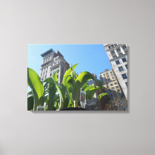 Union Square, New York City, USA Canvas Print