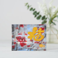Unique 3D 福 Chinese Character Winter Photo 