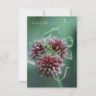 Unique Alliums Card