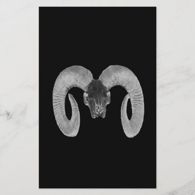 unique and handmade  goat skull (Front)