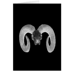unique and handmade goat skull