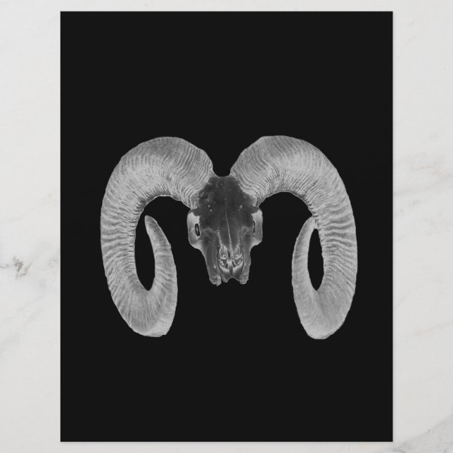 unique and handmade  goat skull (Front)